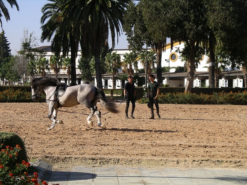 Spanje 2010 295.JPG